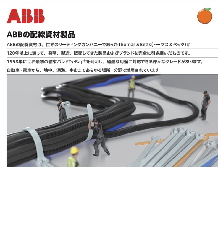 展示品